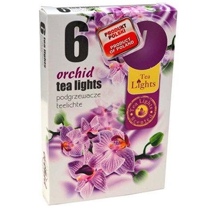 Admit Svícka cajová 6ks Orchid
